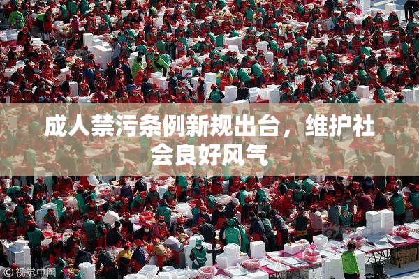 成人禁污条例新规出台，维护社会良好风气