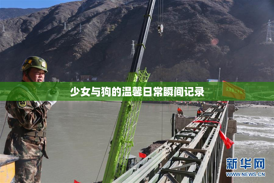 少女与狗的温馨日常瞬间记录