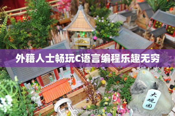 外籍人士畅玩C语言编程乐趣无穷