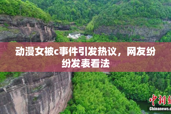 动漫女被c事件引发热议，网友纷纷发表看法