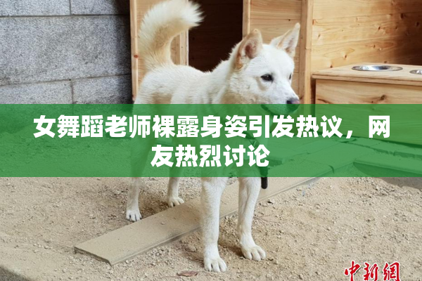女舞蹈老师裸露身姿引发热议，网友热烈讨论