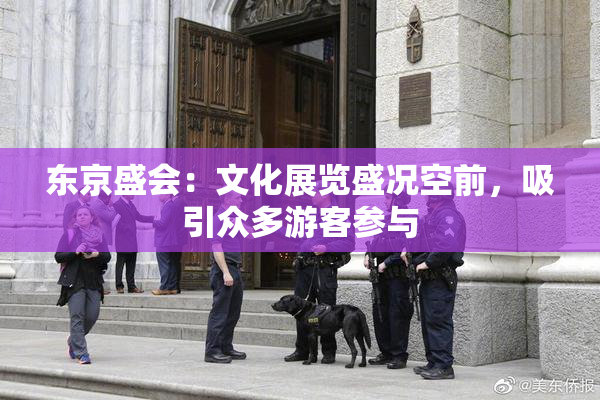东京盛会：文化展览盛况空前，吸引众多游客参与