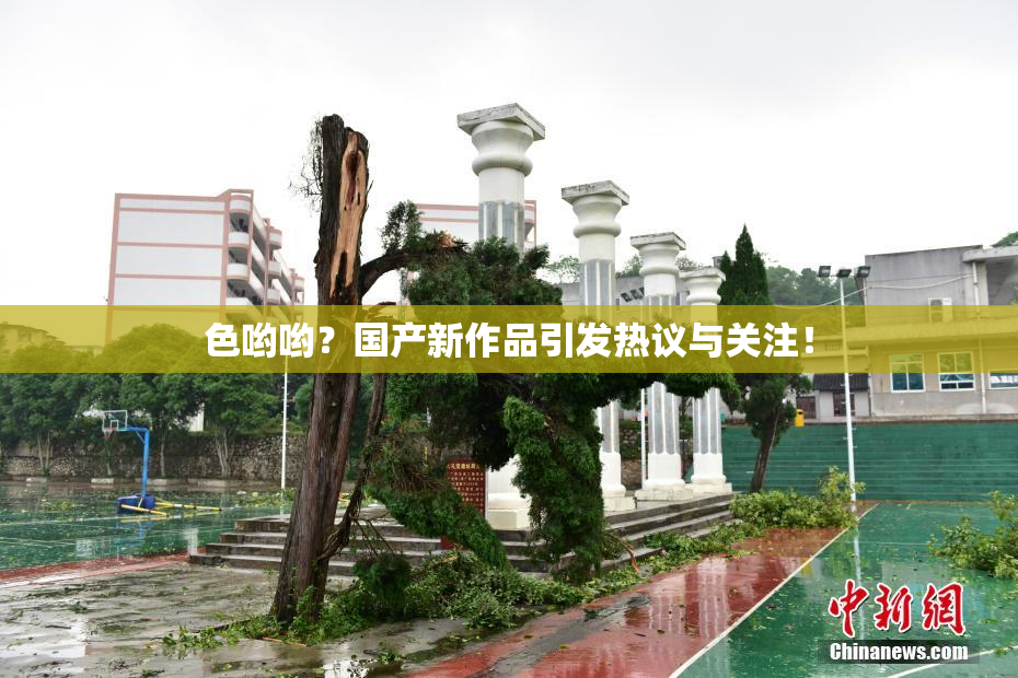 色哟哟？国产新作品引发热议与关注！