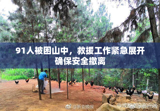 91人被困山中，救援工作紧急展开确保安全撤离