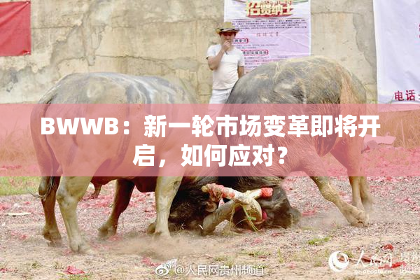 BWWB：新一轮市场变革即将开启，如何应对？
