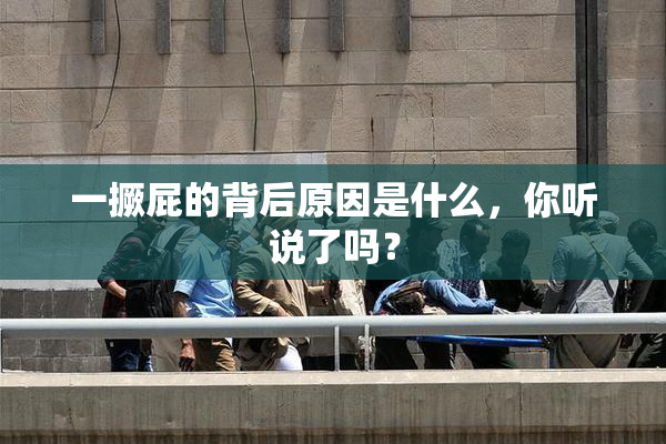 一撅屁的背后原因是什么，你听说了吗？