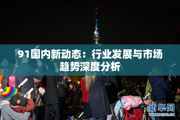 91国内新动态：行业发展与市场趋势深度分析