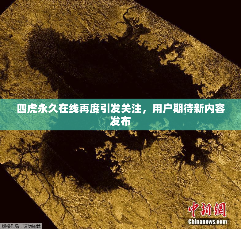 四虎永久在线再度引发关注，用户期待新内容发布