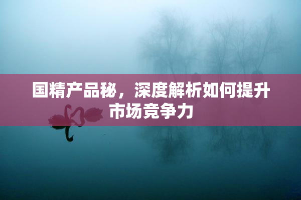 国精产品秘，深度解析如何提升市场竞争力