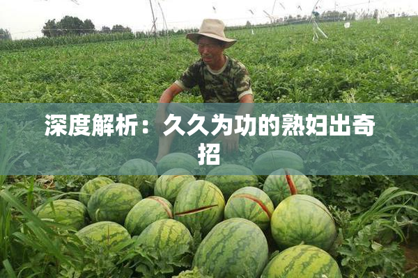 深度解析：久久为功的熟妇出奇招