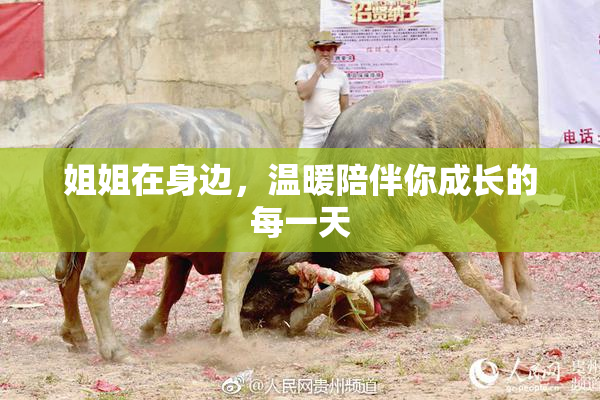 姐姐在身边，温暖陪伴你成长的每一天