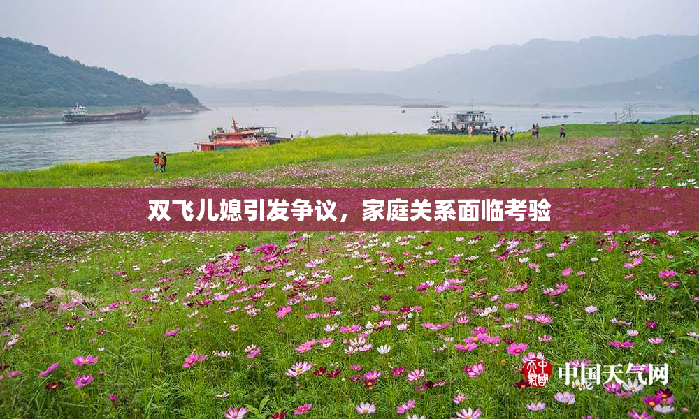 双飞儿媳引发争议，家庭关系面临考验