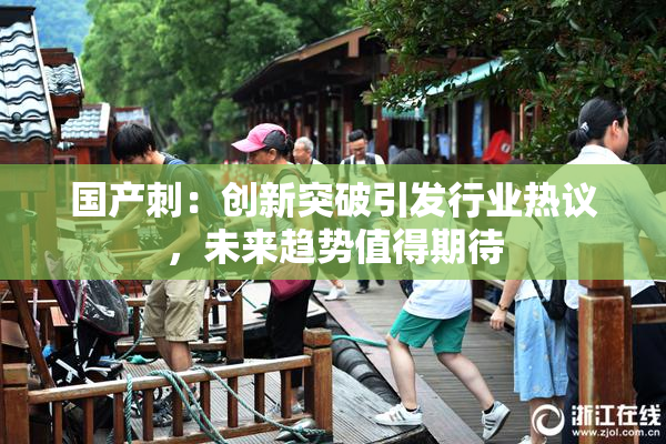 国产刺：创新突破引发行业热议，未来趋势值得期待
