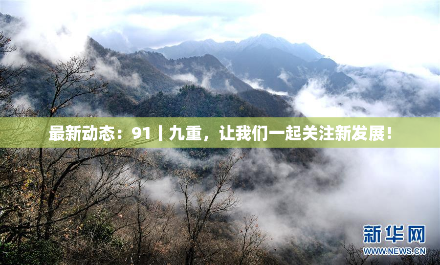 最新动态：91丨九重，让我们一起关注新发展！