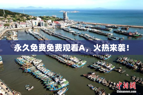 永久免费免费观看A，火热来袭！