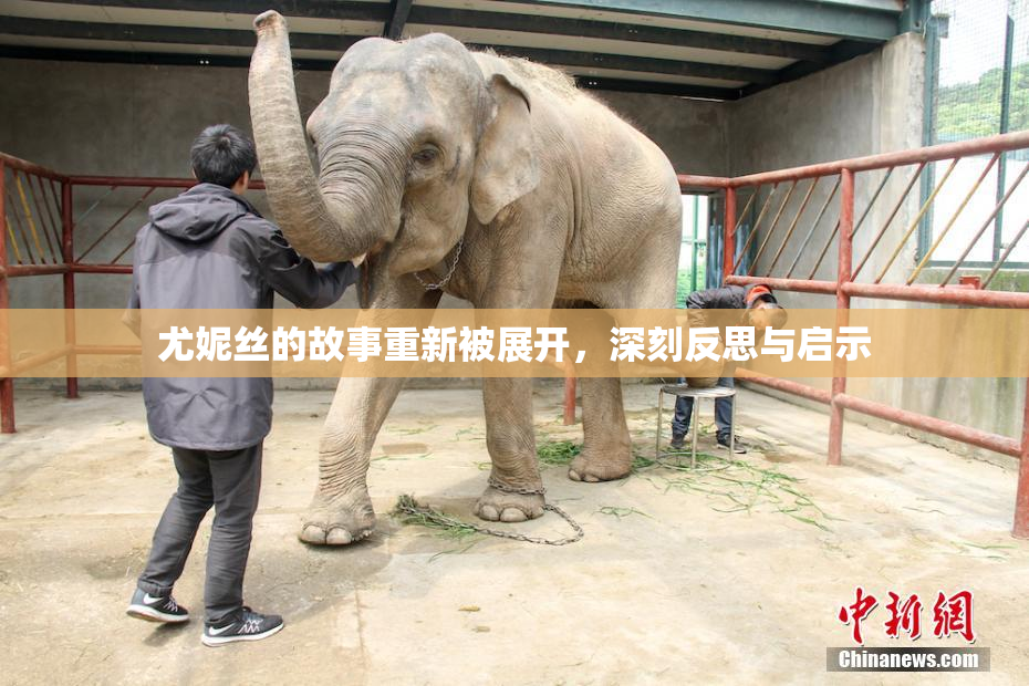 尤妮丝的故事重新被展开，深刻反思与启示