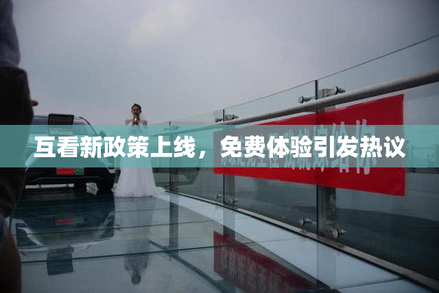 互看新政策上线，免费体验引发热议