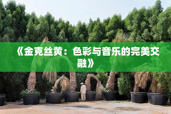 《金克丝黄：色彩与音乐的完美交融》