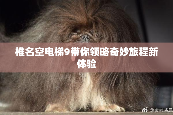椎名空电梯9带你领略奇妙旅程新体验