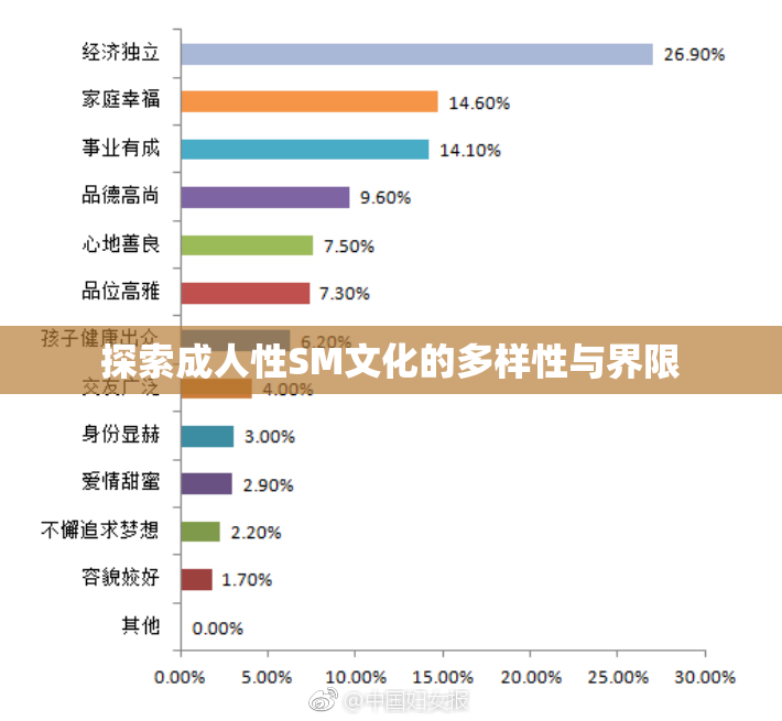 探索成人性SM文化的多样性与界限