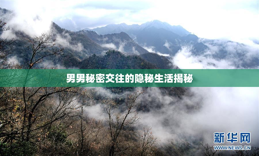 男男秘密交往的隐秘生活揭秘