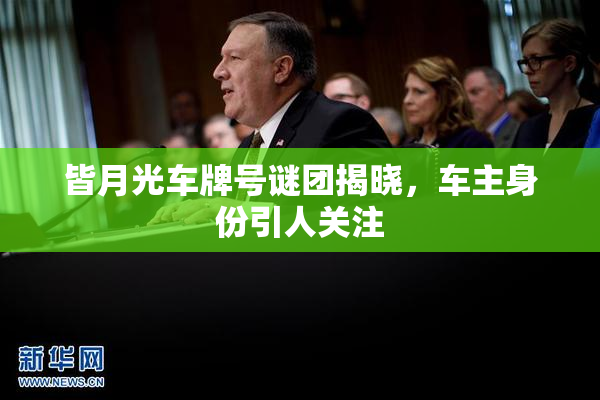 皆月光车牌号谜团揭晓，车主身份引人关注