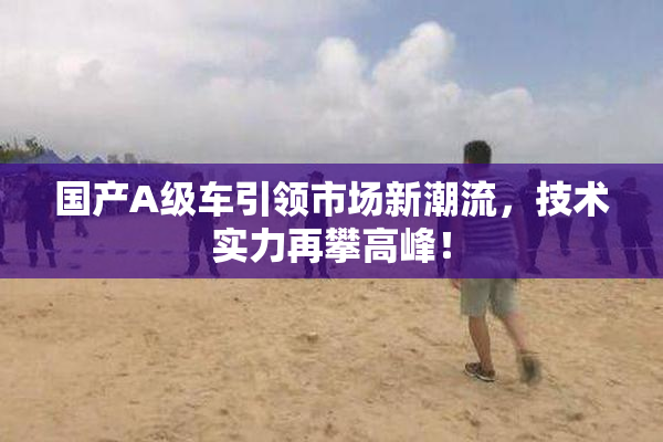 国产A级车引领市场新潮流，技术实力再攀高峰！