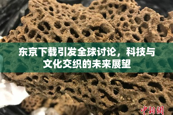 东京下载引发全球讨论，科技与文化交织的未来展望