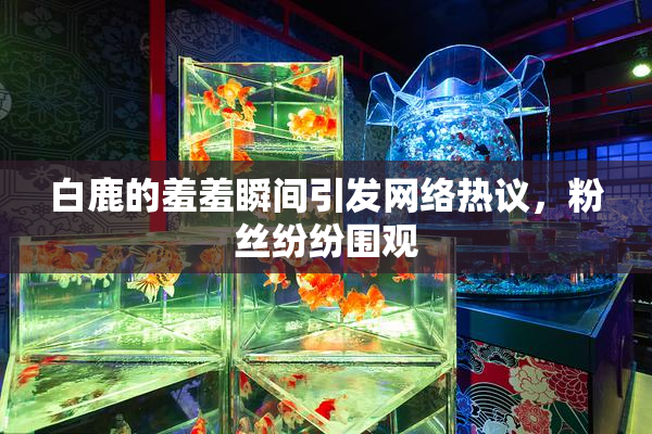 白鹿的羞羞瞬间引发网络热议，粉丝纷纷围观