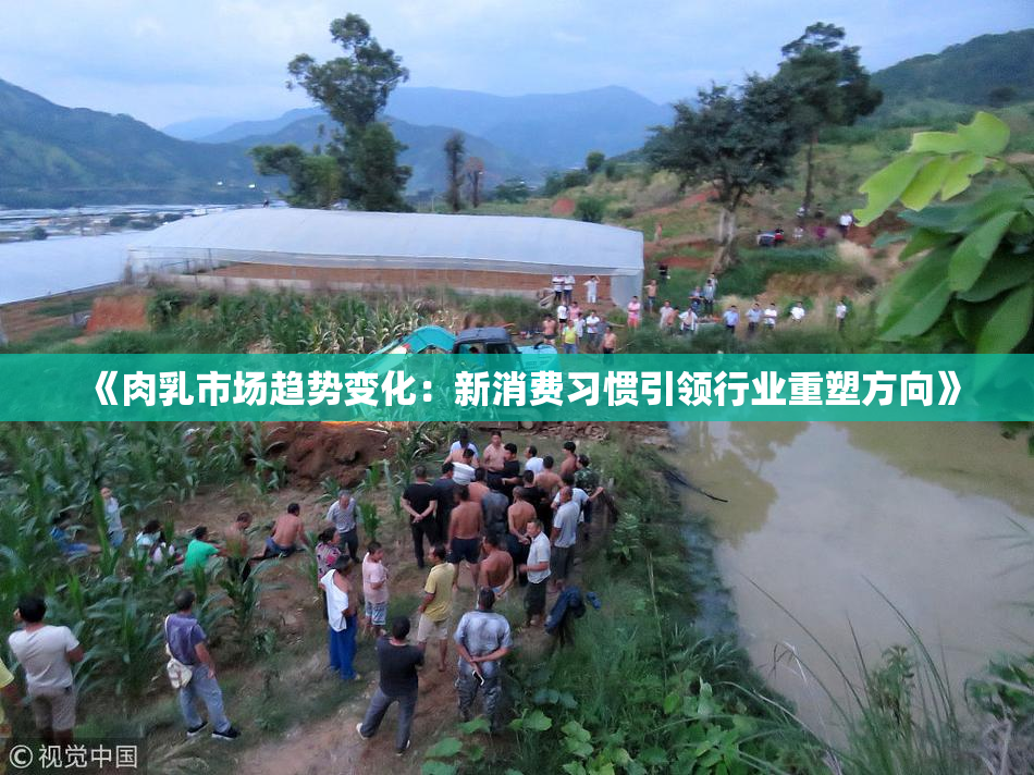 《肉乳市场趋势变化：新消费习惯引领行业重塑方向》
