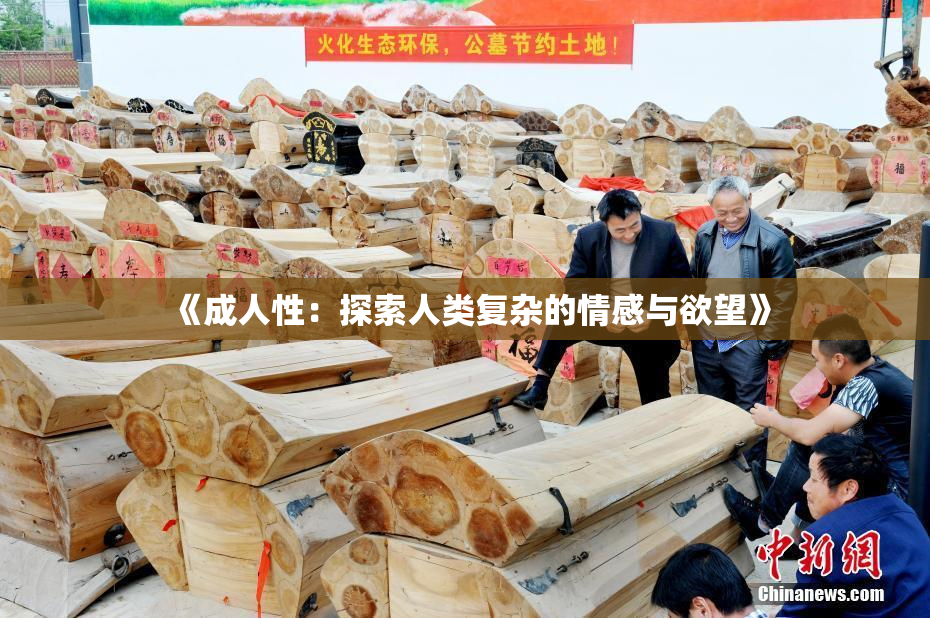 《成人性：探索人类复杂的情感与欲望》