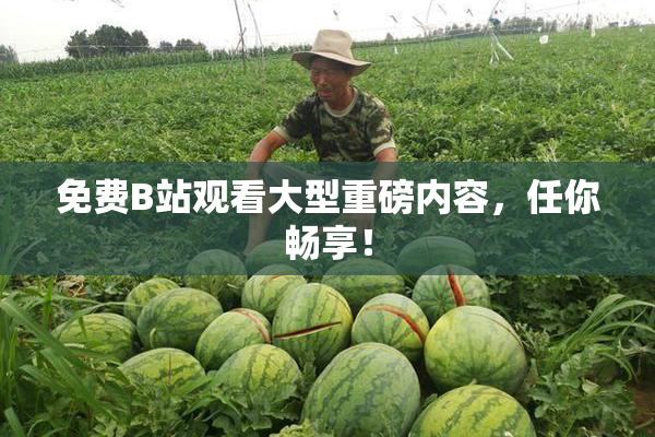 免费B站观看大型重磅内容，任你畅享！