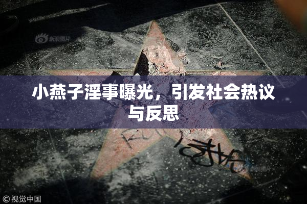 小燕子淫事曝光，引发社会热议与反思