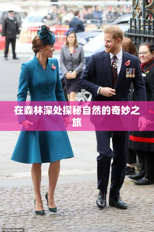 在森林深处探秘自然的奇妙之旅