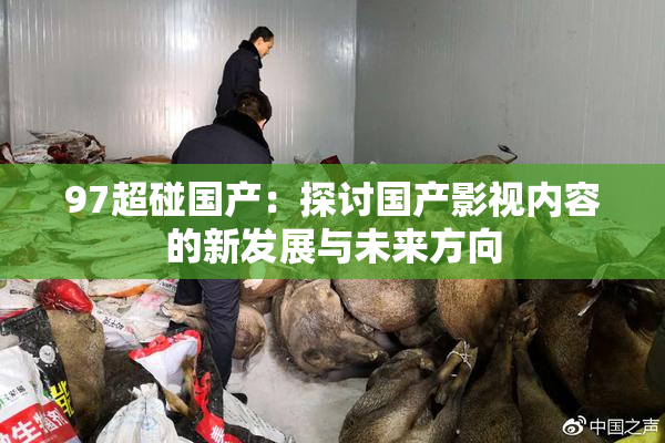 97超碰国产：探讨国产影视内容的新发展与未来方向