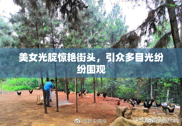 美女光腚惊艳街头，引众多目光纷纷围观