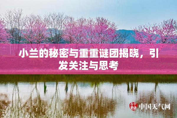 小兰的秘密与重重谜团揭晓，引发关注与思考