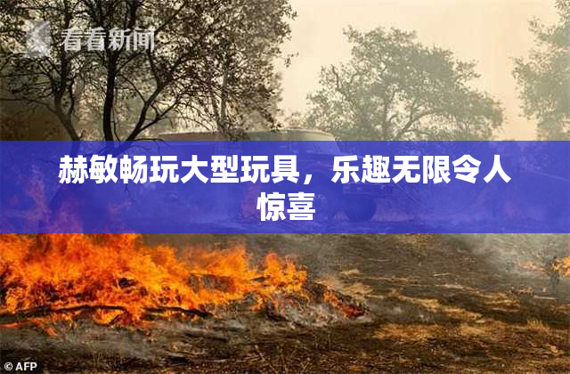 赫敏畅玩大型玩具，乐趣无限令人惊喜