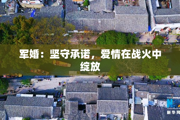 军婚：坚守承诺，爱情在战火中绽放