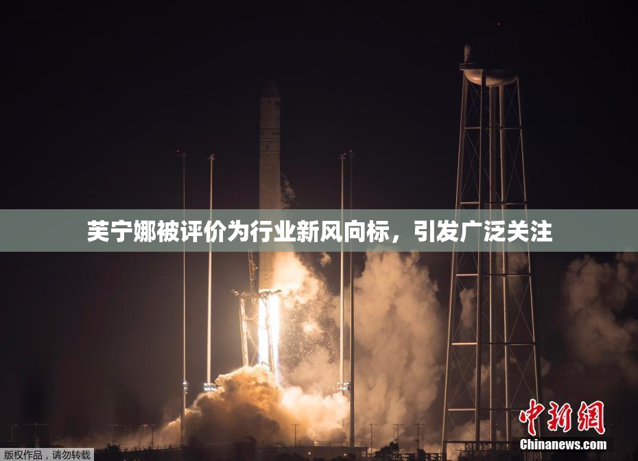芙宁娜被评价为行业新风向标，引发广泛关注