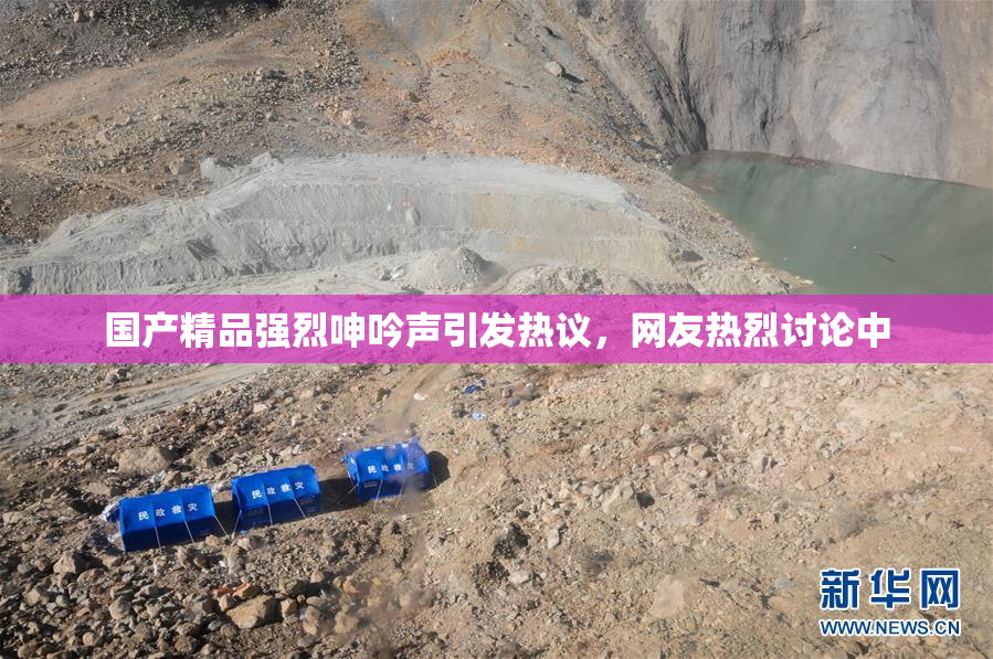 国产精品强烈呻吟声引发热议，网友热烈讨论中