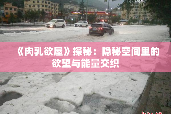 《肉乳欲屋》探秘：隐秘空间里的欲望与能量交织