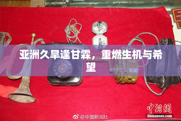 亚洲久旱逢甘霖，重燃生机与希望