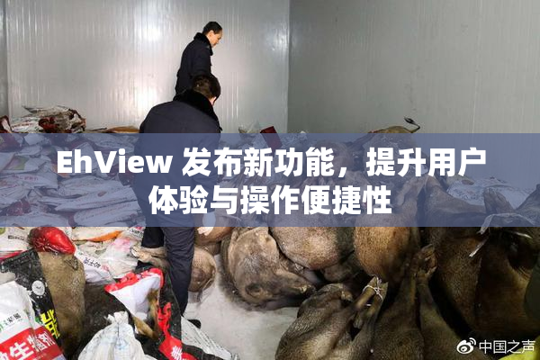 EhView 发布新功能，提升用户体验与操作便捷性