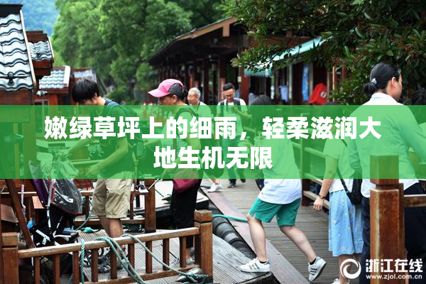嫩绿草坪上的细雨，轻柔滋润大地生机无限
