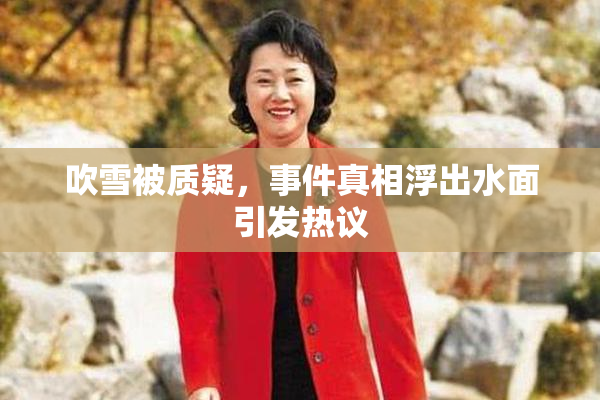 吹雪被质疑，事件真相浮出水面引发热议