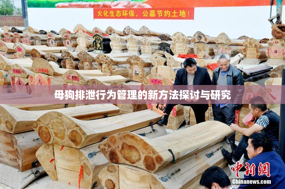 母狗排泄行为管理的新方法探讨与研究