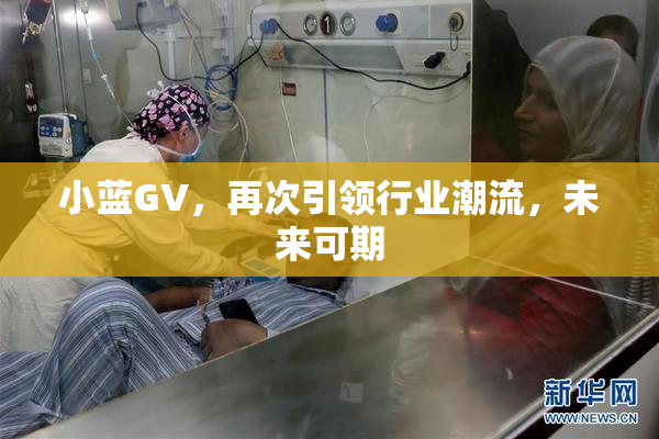 小蓝GV，再次引领行业潮流，未来可期