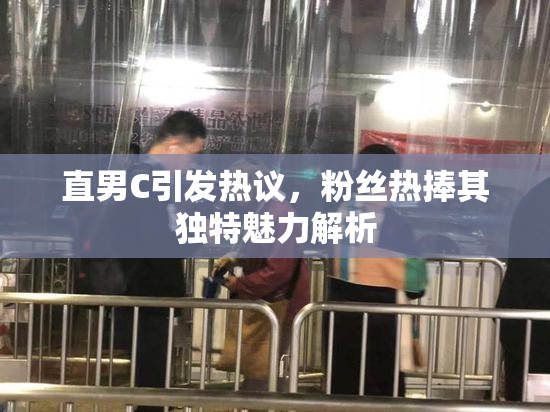 直男C引发热议，粉丝热捧其独特魅力解析