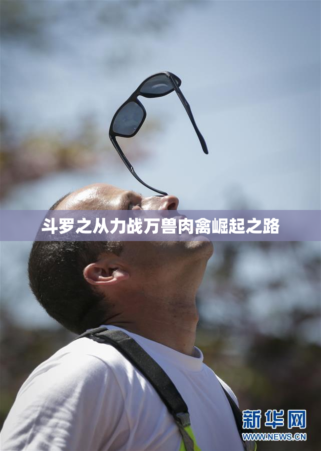 斗罗之从力战万兽肉禽崛起之路